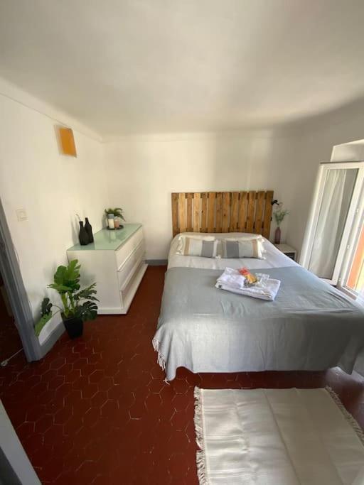 Appartement Typique Nicois En Plein Centre Ville Nice Buitenkant foto